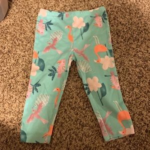 Carter’s bottoms teal with tropical birds and flowers 18 months